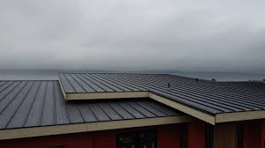 Best Green or Eco-Friendly Roofing Solutions  in Kamiah, ID